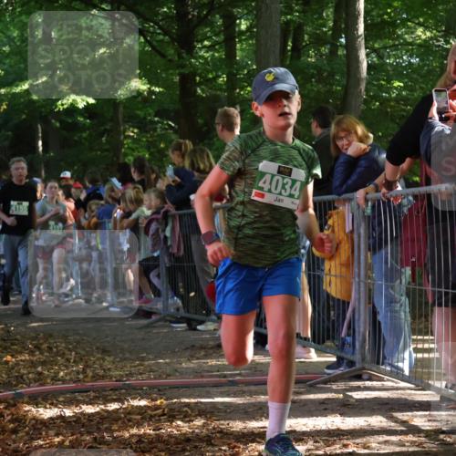 28.09.2025 - 33. Volkslauf durch das schöne Alstertal Strokosch-Dieckow http://msf.ph/oto/8961450 28.09.2025 10:54:54 Ziel 4034, 4035, 4047, 4155, 4157, 4188 meine-sportfotos.de