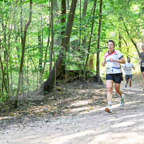 28.09.2025 - 33. Volkslauf durch das schöne Alstertal Dr. Thomas Lammeyer http://msf.ph/oto/8961451 28.09.2025 11:07:09 Laufen 202, 3351 meine-sportfotos.de