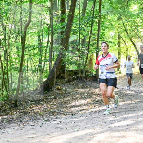28.09.2025 - 33. Volkslauf durch das schöne Alstertal Dr. Thomas Lammeyer http://msf.ph/oto/8961453 28.09.2025 11:07:09 Laufen 3351, 202 meine-sportfotos.de