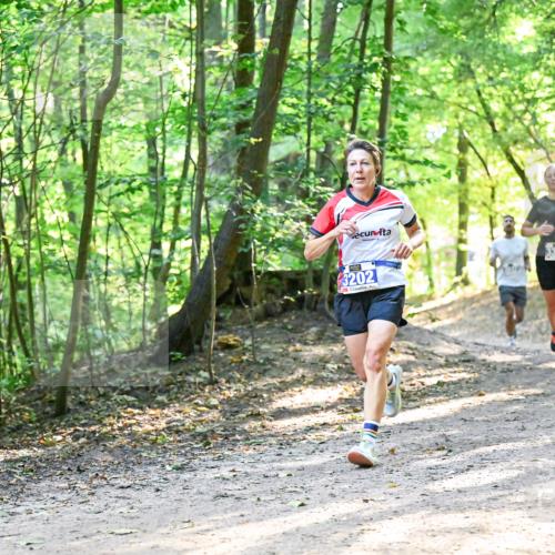 28.09.2025 - 33. Volkslauf durch das schöne Alstertal Dr. Thomas Lammeyer http://msf.ph/oto/8961457 28.09.2025 11:07:09 Laufen 3202, 3351 meine-sportfotos.de