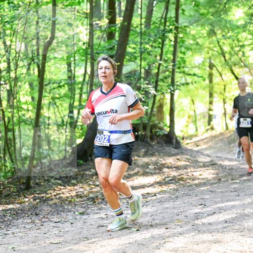 28.09.2025 - 33. Volkslauf durch das schöne Alstertal Dr. Thomas Lammeyer http://msf.ph/oto/8961461 28.09.2025 11:07:10 Laufen 202, 3351 meine-sportfotos.de