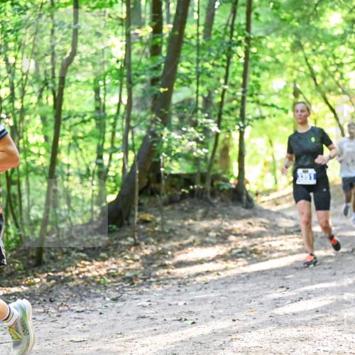 28.09.2025 - 33. Volkslauf durch das schöne Alstertal Dr. Thomas Lammeyer http://msf.ph/oto/8961466 28.09.2025 11:07:10 Laufen 202 meine-sportfotos.de
