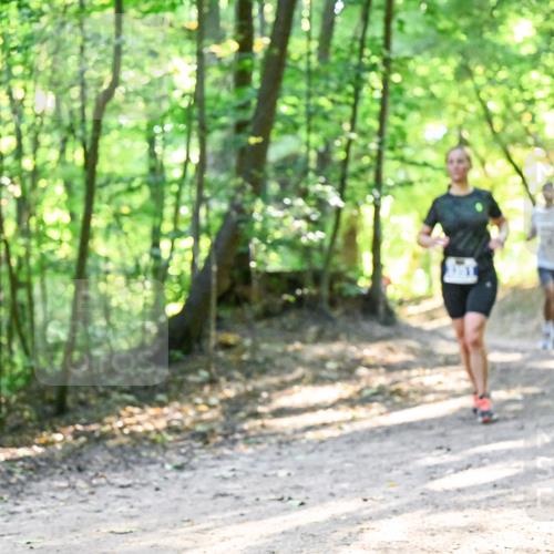 28.09.2025 - 33. Volkslauf durch das schöne Alstertal Dr. Thomas Lammeyer http://msf.ph/oto/8961467 28.09.2025 11:07:10 Laufen  meine-sportfotos.de