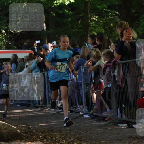 28.09.2025 - 33. Volkslauf durch das schöne Alstertal Strokosch-Dieckow http://msf.ph/oto/8961468 28.09.2025 10:55:00 Ziel 4040, 4047, 4188 meine-sportfotos.de