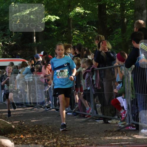 28.09.2025 - 33. Volkslauf durch das schöne Alstertal Strokosch-Dieckow http://msf.ph/oto/8961471 28.09.2025 10:55:00 Ziel 4040, 4047, 4188 meine-sportfotos.de