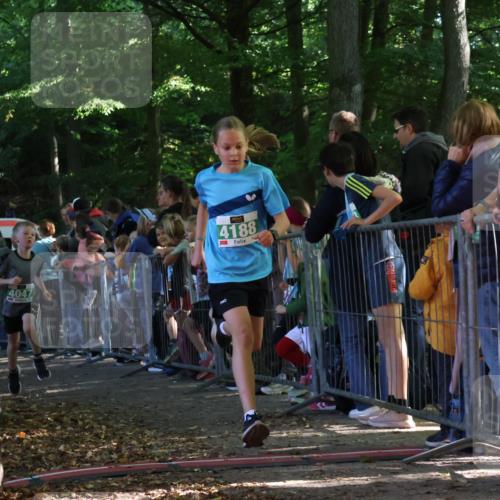 28.09.2025 - 33. Volkslauf durch das schöne Alstertal Strokosch-Dieckow http://msf.ph/oto/8961473 28.09.2025 10:55:01 Ziel 4040, 4047, 4188 meine-sportfotos.de