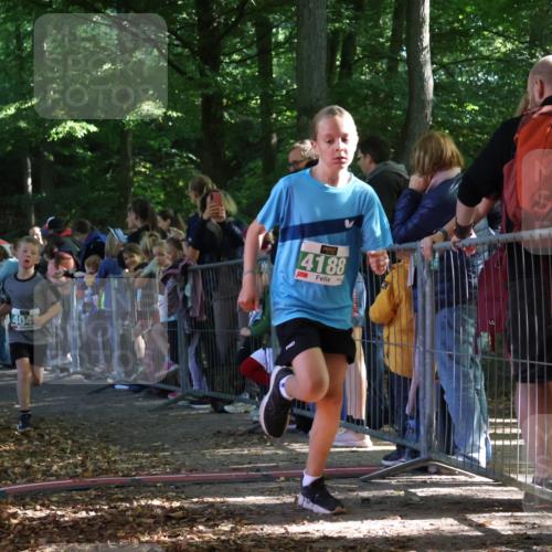 28.09.2025 - 33. Volkslauf durch das schöne Alstertal Strokosch-Dieckow http://msf.ph/oto/8961475 28.09.2025 10:55:02 Ziel 4040, 4047, 4188 meine-sportfotos.de