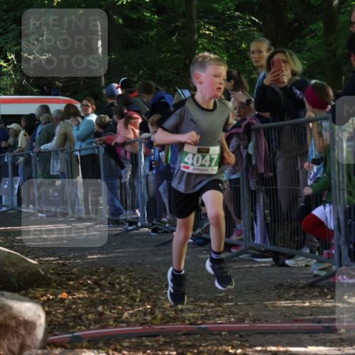28.09.2025 - 33. Volkslauf durch das schöne Alstertal Strokosch-Dieckow http://msf.ph/oto/8961478 28.09.2025 10:55:03 Ziel 4040, 4047, 4111, 4188 meine-sportfotos.de
