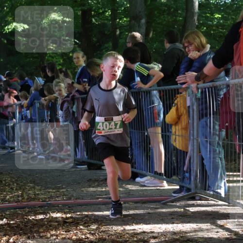 28.09.2025 - 33. Volkslauf durch das schöne Alstertal Strokosch-Dieckow http://msf.ph/oto/8961480 28.09.2025 10:55:03 Ziel 4040, 4047, 4111, 4188 meine-sportfotos.de