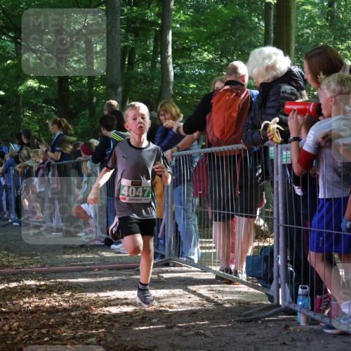 28.09.2025 - 33. Volkslauf durch das schöne Alstertal Strokosch-Dieckow http://msf.ph/oto/8961483 28.09.2025 10:55:04 Ziel 4040, 4047, 4111 meine-sportfotos.de