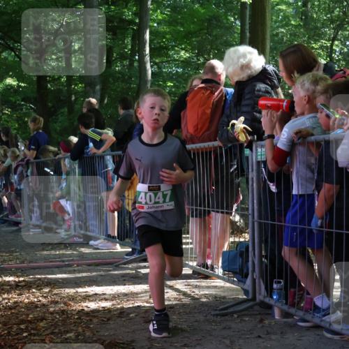 28.09.2025 - 33. Volkslauf durch das schöne Alstertal Strokosch-Dieckow http://msf.ph/oto/8961485 28.09.2025 10:55:04 Ziel 4040, 4047, 4111 meine-sportfotos.de