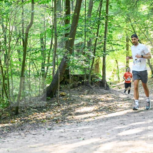 28.09.2025 - 33. Volkslauf durch das schöne Alstertal Dr. Thomas Lammeyer http://msf.ph/oto/8961486 28.09.2025 11:07:13 Laufen 3032 meine-sportfotos.de