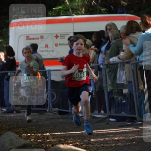 28.09.2025 - 33. Volkslauf durch das schöne Alstertal Strokosch-Dieckow http://msf.ph/oto/8961490 28.09.2025 10:55:07 Ziel 4033, 4040, 4084, 4111 meine-sportfotos.de