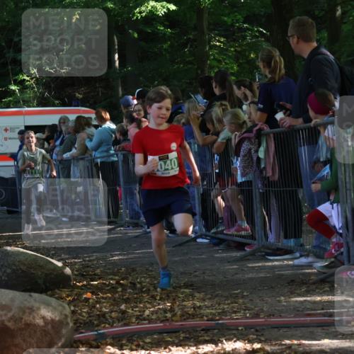 28.09.2025 - 33. Volkslauf durch das schöne Alstertal Strokosch-Dieckow http://msf.ph/oto/8961492 28.09.2025 10:55:08 Ziel 4033, 4040, 4084, 4094, 4111 meine-sportfotos.de