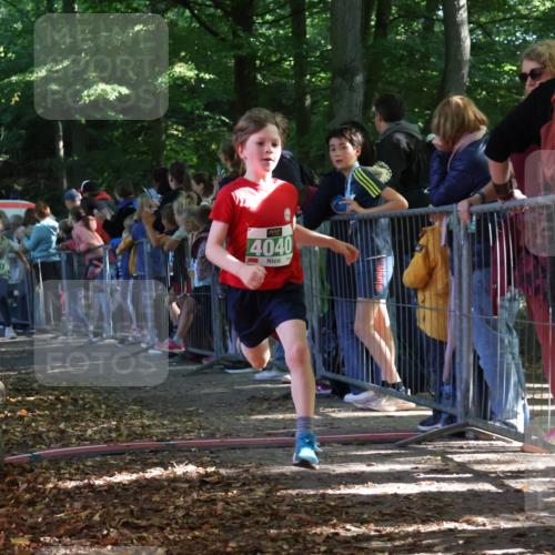 28.09.2025 - 33. Volkslauf durch das schöne Alstertal Strokosch-Dieckow http://msf.ph/oto/8961495 28.09.2025 10:55:09 Ziel 4033, 4040, 4084, 4094, 4111 meine-sportfotos.de