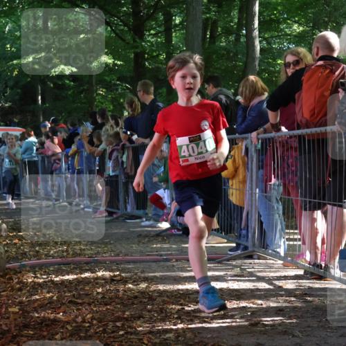 28.09.2025 - 33. Volkslauf durch das schöne Alstertal Strokosch-Dieckow http://msf.ph/oto/8961498 28.09.2025 10:55:09 Ziel 4033, 4040, 4084, 4094, 4111 meine-sportfotos.de