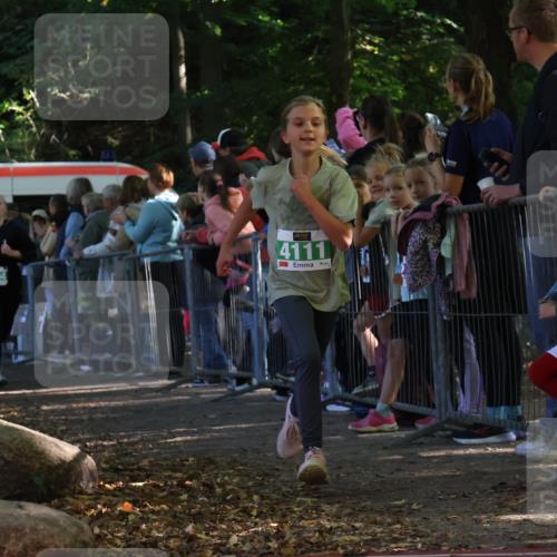 28.09.2025 - 33. Volkslauf durch das schöne Alstertal Strokosch-Dieckow http://msf.ph/oto/8961503 28.09.2025 10:55:11 Ziel 4033, 4084, 4094, 4111 meine-sportfotos.de