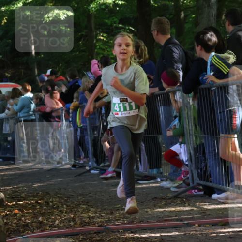 28.09.2025 - 33. Volkslauf durch das schöne Alstertal Strokosch-Dieckow http://msf.ph/oto/8961505 28.09.2025 10:55:12 Ziel 4033, 4084, 4093, 4094, 4111 meine-sportfotos.de