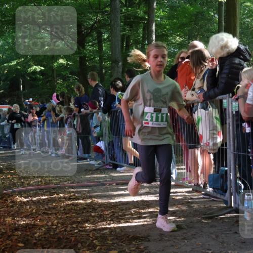 28.09.2025 - 33. Volkslauf durch das schöne Alstertal Strokosch-Dieckow http://msf.ph/oto/8961511 28.09.2025 10:55:13 Ziel 4033, 4084, 4093, 4094, 4111 meine-sportfotos.de