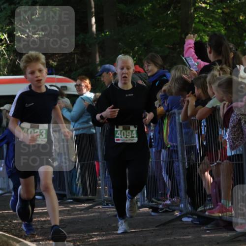 28.09.2025 - 33. Volkslauf durch das schöne Alstertal Strokosch-Dieckow http://msf.ph/oto/8961513 28.09.2025 10:55:14 Ziel 4033, 4084, 4093, 4094 meine-sportfotos.de