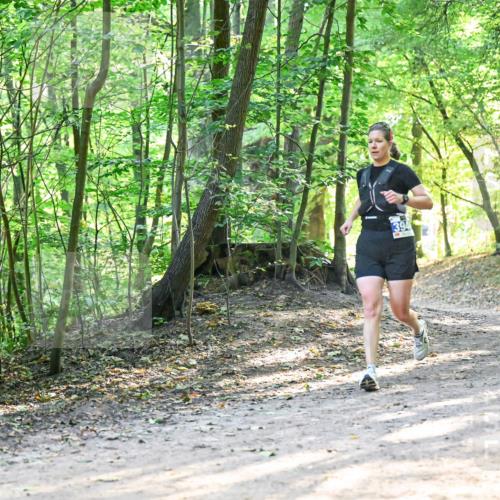 28.09.2025 - 33. Volkslauf durch das schöne Alstertal Dr. Thomas Lammeyer http://msf.ph/oto/8961514 28.09.2025 11:07:25 Laufen 394 meine-sportfotos.de
