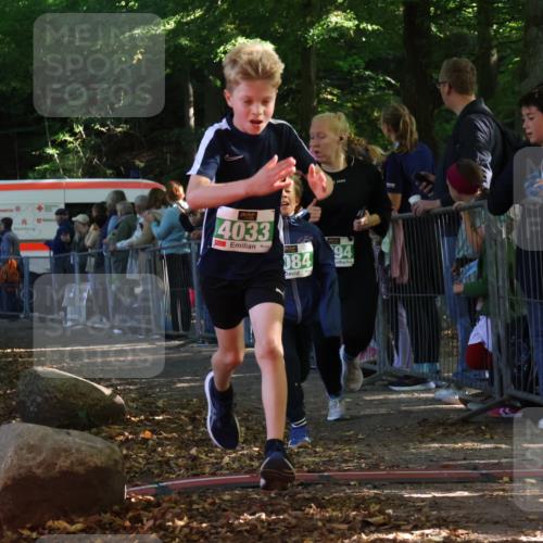 28.09.2025 - 33. Volkslauf durch das schöne Alstertal Strokosch-Dieckow http://msf.ph/oto/8961517 28.09.2025 10:55:15 Ziel 4033, 4084, 4093, 4094 meine-sportfotos.de