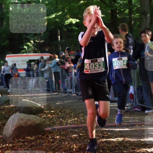 28.09.2025 - 33. Volkslauf durch das schöne Alstertal Strokosch-Dieckow http://msf.ph/oto/8961520 28.09.2025 10:55:16 Ziel 4033, 4084, 4093, 4094 meine-sportfotos.de