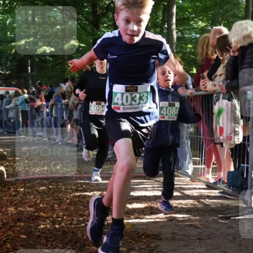 28.09.2025 - 33. Volkslauf durch das schöne Alstertal Strokosch-Dieckow http://msf.ph/oto/8961522 28.09.2025 10:55:16 Ziel 4033, 4084, 4093, 4094 meine-sportfotos.de