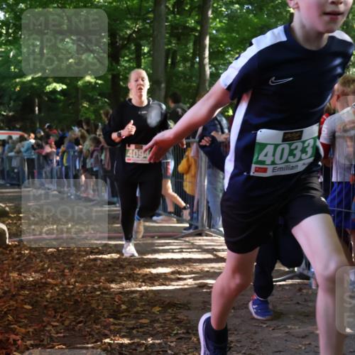 28.09.2025 - 33. Volkslauf durch das schöne Alstertal Strokosch-Dieckow http://msf.ph/oto/8961524 28.09.2025 10:55:16 Ziel 4033, 4084, 4093, 4094 meine-sportfotos.de