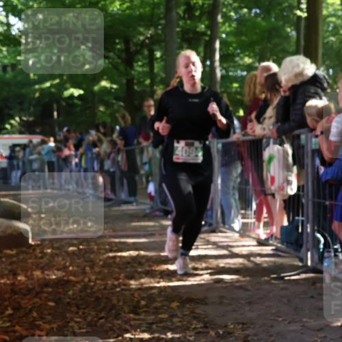 28.09.2025 - 33. Volkslauf durch das schöne Alstertal Strokosch-Dieckow http://msf.ph/oto/8961526 28.09.2025 10:55:17 Ziel 4033, 4084, 4093, 4094 meine-sportfotos.de