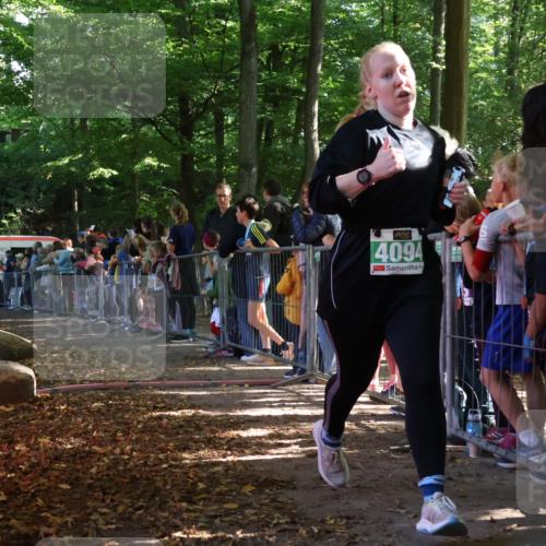 28.09.2025 - 33. Volkslauf durch das schöne Alstertal Strokosch-Dieckow http://msf.ph/oto/8961529 28.09.2025 10:55:17 Ziel 4033, 4084, 4093, 4094 meine-sportfotos.de