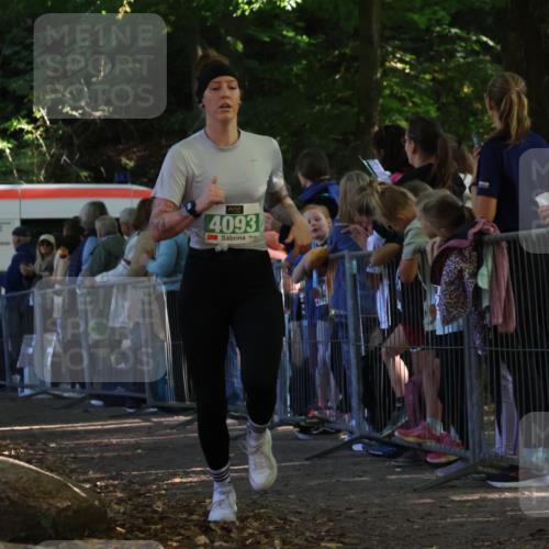 28.09.2025 - 33. Volkslauf durch das schöne Alstertal Strokosch-Dieckow http://msf.ph/oto/8961534 28.09.2025 10:55:19 Ziel 4042, 4093, 4120 meine-sportfotos.de
