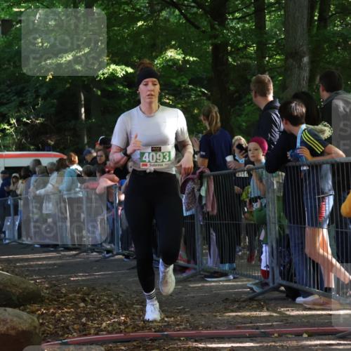 28.09.2025 - 33. Volkslauf durch das schöne Alstertal Strokosch-Dieckow http://msf.ph/oto/8961536 28.09.2025 10:55:20 Ziel 4042, 4093, 4120 meine-sportfotos.de