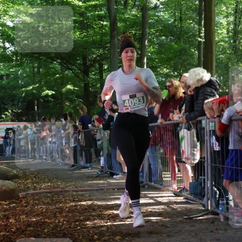28.09.2025 - 33. Volkslauf durch das schöne Alstertal Strokosch-Dieckow http://msf.ph/oto/8961545 28.09.2025 10:55:21 Ziel 4042, 4093, 4120 meine-sportfotos.de