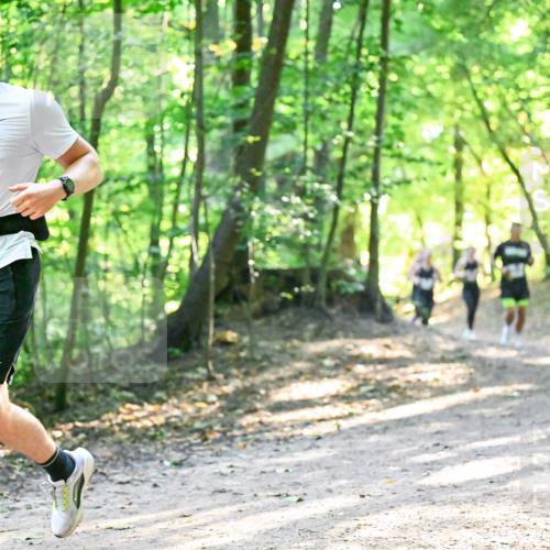 28.09.2025 - 33. Volkslauf durch das schöne Alstertal Dr. Thomas Lammeyer http://msf.ph/oto/8961554 28.09.2025 11:07:41 Laufen 3414 meine-sportfotos.de