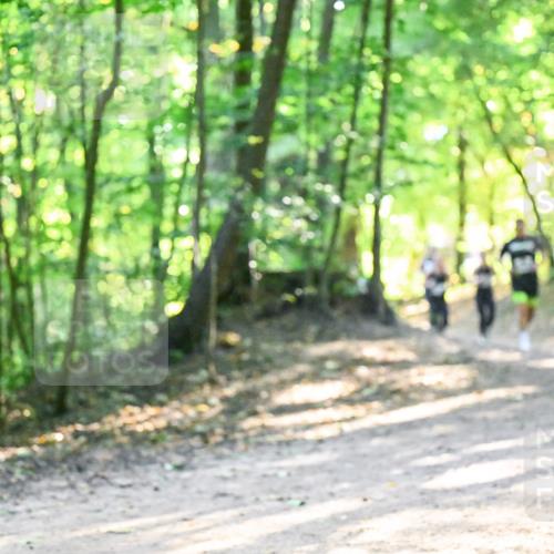 28.09.2025 - 33. Volkslauf durch das schöne Alstertal Dr. Thomas Lammeyer http://msf.ph/oto/8961555 28.09.2025 11:07:41 Laufen  meine-sportfotos.de
