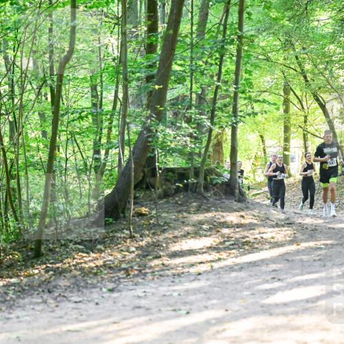 28.09.2025 - 33. Volkslauf durch das schöne Alstertal Dr. Thomas Lammeyer http://msf.ph/oto/8961556 28.09.2025 11:07:41 Laufen 3319 meine-sportfotos.de