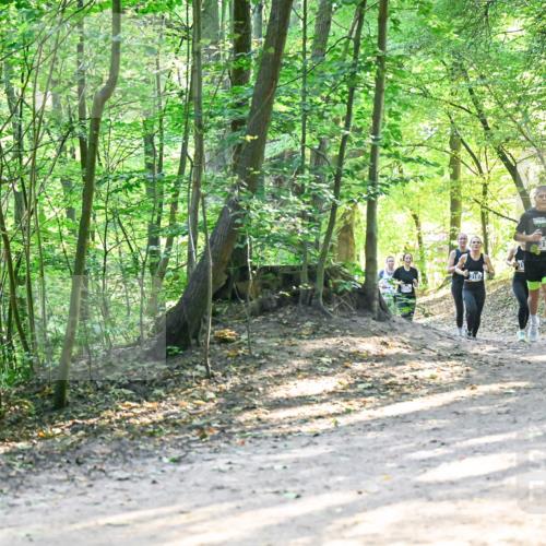 28.09.2025 - 33. Volkslauf durch das schöne Alstertal Dr. Thomas Lammeyer http://msf.ph/oto/8961557 28.09.2025 11:07:42 Laufen 3187 meine-sportfotos.de