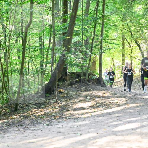 28.09.2025 - 33. Volkslauf durch das schöne Alstertal Dr. Thomas Lammeyer http://msf.ph/oto/8961558 28.09.2025 11:07:42 Laufen 3187, 3118 meine-sportfotos.de