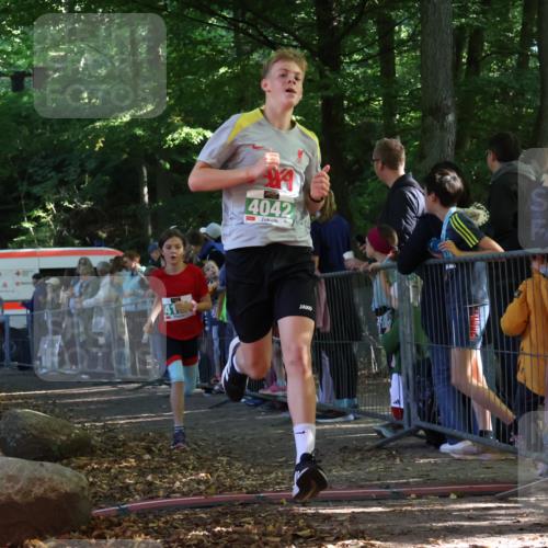 28.09.2025 - 33. Volkslauf durch das schöne Alstertal Strokosch-Dieckow http://msf.ph/oto/8961559 28.09.2025 10:55:27 Ziel 4042, 4046, 4120 meine-sportfotos.de
