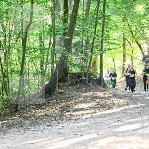 28.09.2025 - 33. Volkslauf durch das schöne Alstertal Dr. Thomas Lammeyer http://msf.ph/oto/8961560 28.09.2025 11:07:42 Laufen 3187, 3118 meine-sportfotos.de