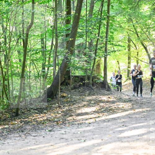 28.09.2025 - 33. Volkslauf durch das schöne Alstertal Dr. Thomas Lammeyer http://msf.ph/oto/8961561 28.09.2025 11:07:42 Laufen 3187, 3118, 3319 meine-sportfotos.de
