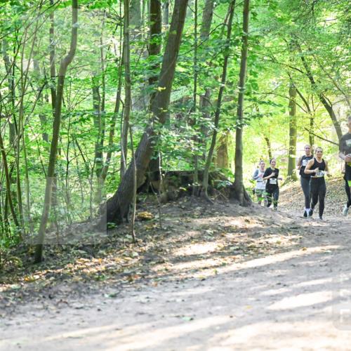 28.09.2025 - 33. Volkslauf durch das schöne Alstertal Dr. Thomas Lammeyer http://msf.ph/oto/8961562 28.09.2025 11:07:42 Laufen 3118 meine-sportfotos.de