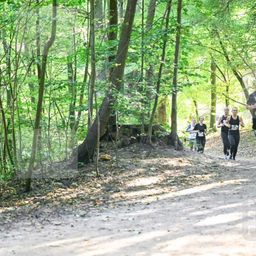 28.09.2025 - 33. Volkslauf durch das schöne Alstertal Dr. Thomas Lammeyer http://msf.ph/oto/8961563 28.09.2025 11:07:42 Laufen 3118, 3319 meine-sportfotos.de