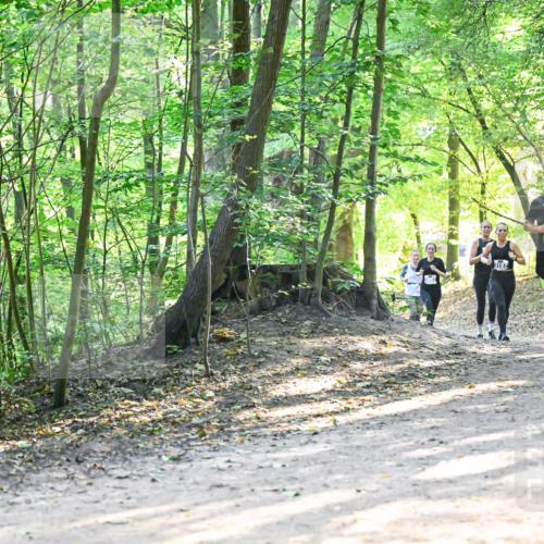 28.09.2025 - 33. Volkslauf durch das schöne Alstertal Dr. Thomas Lammeyer http://msf.ph/oto/8961564 28.09.2025 11:07:43 Laufen 3187, 3118, 3319 meine-sportfotos.de