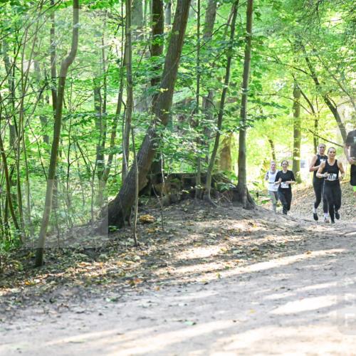 28.09.2025 - 33. Volkslauf durch das schöne Alstertal Dr. Thomas Lammeyer http://msf.ph/oto/8961566 28.09.2025 11:07:43 Laufen 3187, 3118, 3319 meine-sportfotos.de