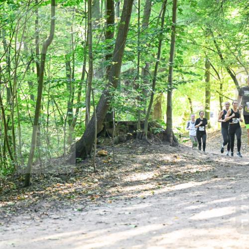 28.09.2025 - 33. Volkslauf durch das schöne Alstertal Dr. Thomas Lammeyer http://msf.ph/oto/8961567 28.09.2025 11:07:43 Laufen 3187, 3118, 3319 meine-sportfotos.de