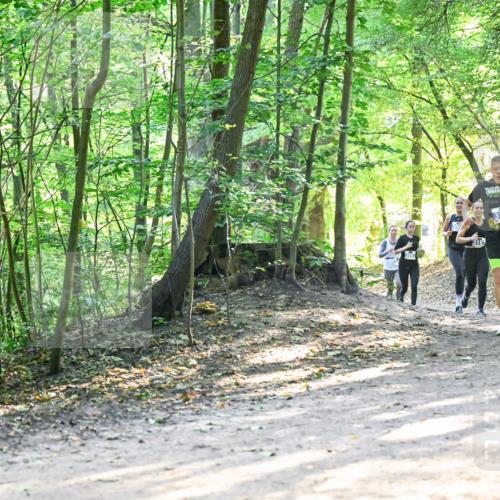 28.09.2025 - 33. Volkslauf durch das schöne Alstertal Dr. Thomas Lammeyer http://msf.ph/oto/8961568 28.09.2025 11:07:43 Laufen 3118, 3319 meine-sportfotos.de