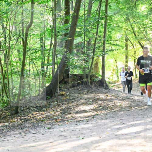 28.09.2025 - 33. Volkslauf durch das schöne Alstertal Dr. Thomas Lammeyer http://msf.ph/oto/8961569 28.09.2025 11:07:44 Laufen 118 meine-sportfotos.de