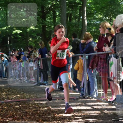 28.09.2025 - 33. Volkslauf durch das schöne Alstertal Strokosch-Dieckow http://msf.ph/oto/8961570 28.09.2025 10:55:28 Ziel 4042, 4046, 4120 meine-sportfotos.de